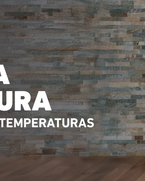 imagem header.jpg