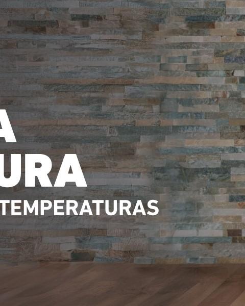 imagem header.jpg