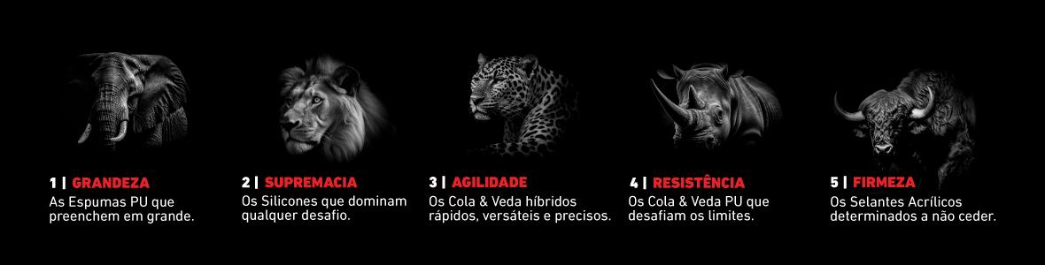 Big 5 da Soudal