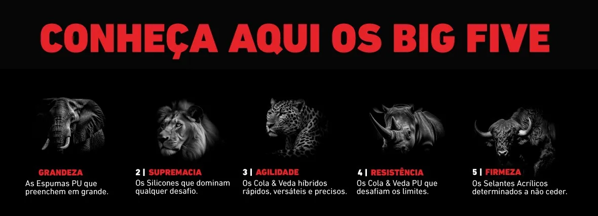 Conheça aqui os BIG 5