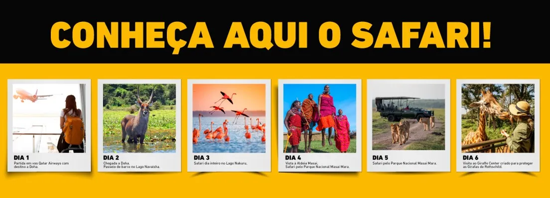 Programa da viagem