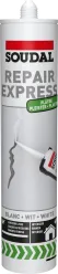 Repair Express Gesso