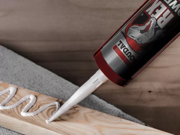 Cola-e-Veda- Aplicação-T-Rex-Power