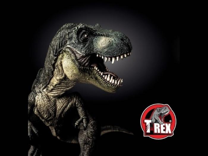 Cola e Veda T-Rex