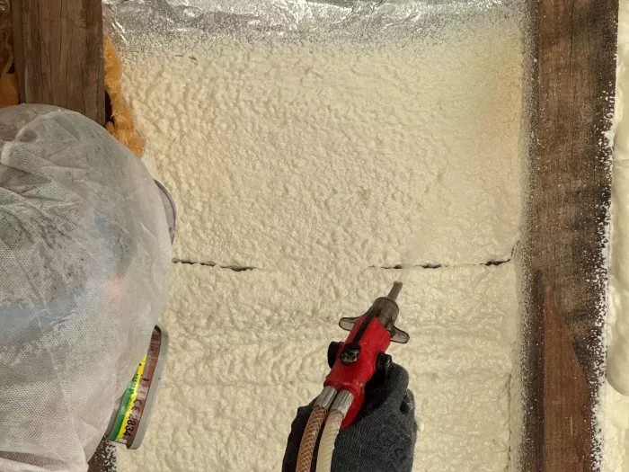 aplicação espuma projetável