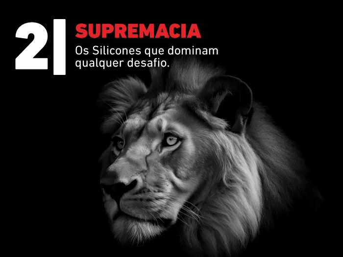 Big 5 Soudal Silicones
