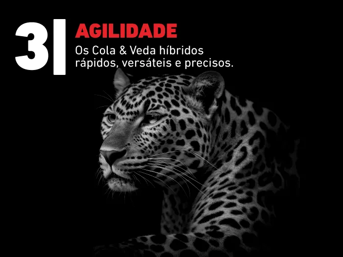 Big 5 Soudal Cola e Veda Híbridos