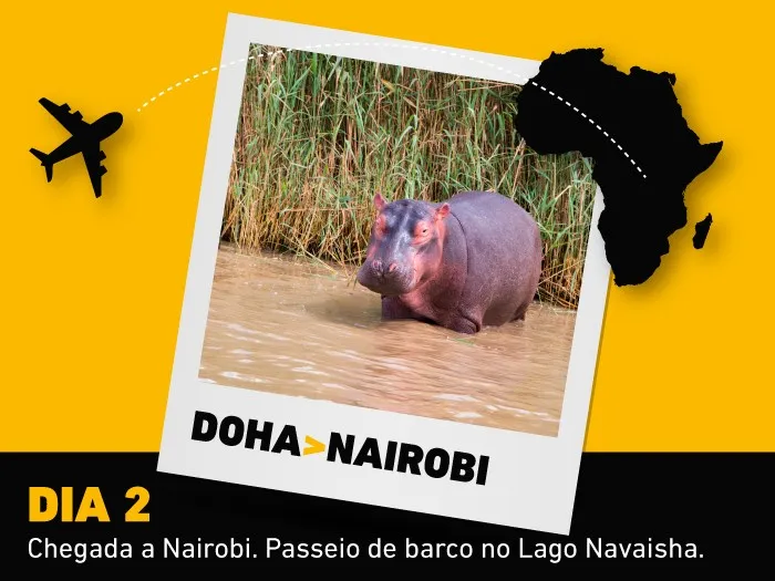 imagem 2º dia