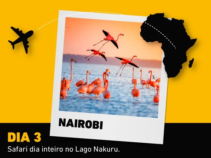 imagem 3º dia