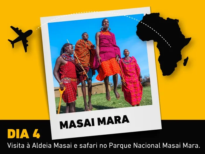 imagem 4º dia