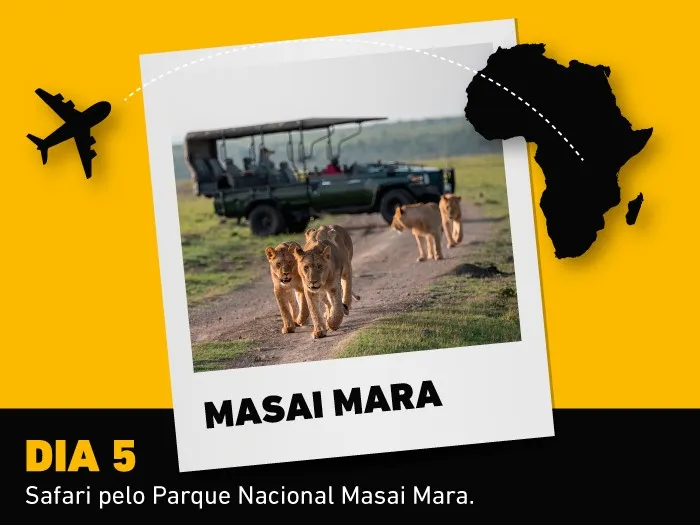 imagem 5º dia