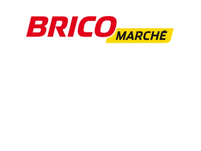 Logo Brico.png