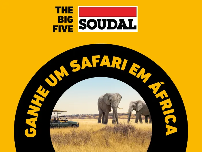 Passatempo Safari