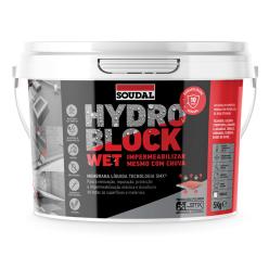 Hydro Block Wet Cinzento 5kg